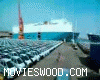 Files--Malayalam Movies 2011--Dheera DVD--Dheera DVD www.MoviesWood.com.3gp